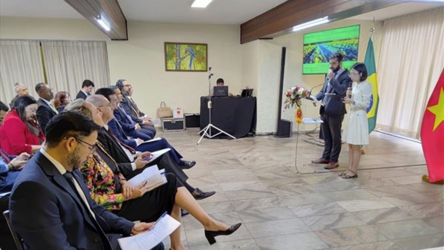 Brazil, Vietnam target sustainable value chains in smart agriculture